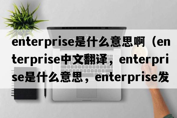 enterprise是什么意思?。╡nterprise中文翻譯，enterprise是什么意思，enterprise發(fā)音、用法及例句）