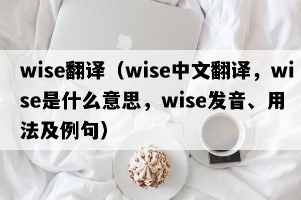 wise翻譯（wise中文翻譯，wise是什么意思，wise發(fā)音、用法及例句）