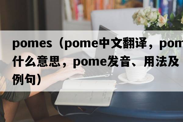 pomes（pome中文翻譯，pome是什么意思，pome發(fā)音、用法及例句）