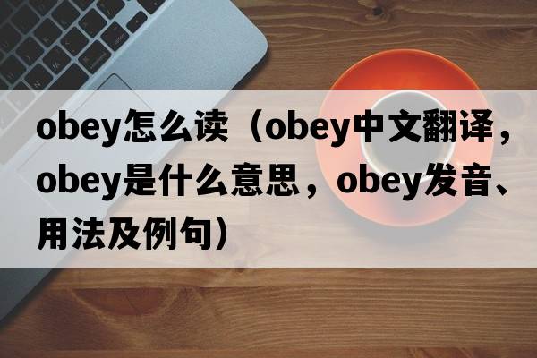 obey怎么讀（obey中文翻譯，obey是什么意思，obey發(fā)音、用法及例句）
