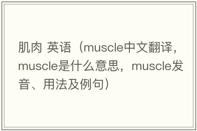 肌肉 英語（muscle中文翻譯，muscle是什么意思，muscle發(fā)音、用法及例句）