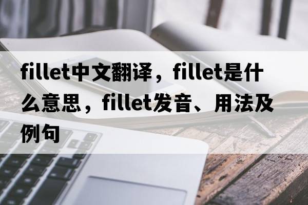 fillet中文翻譯，fillet是什么意思，fillet發(fā)音、用法及例句