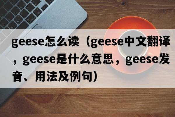 geese怎么讀（geese中文翻譯，geese是什么意思，geese發(fā)音、用法及例句）
