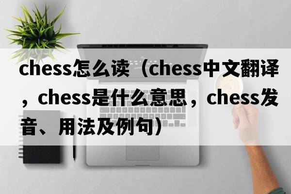 chess怎么讀（chess中文翻譯，chess是什么意思，chess發(fā)音、用法及例句）