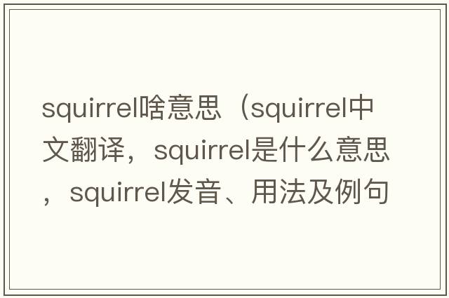 squirrel啥意思（squirrel中文翻譯，squirrel是什么意思，squirrel發(fā)音、用法及例句）