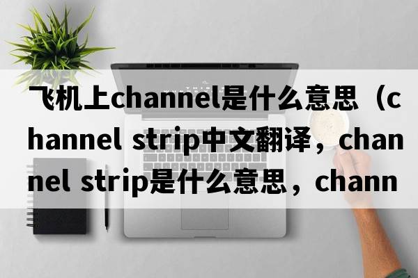 飛機(jī)上channel是什么意思（channel strip中文翻譯，channel strip是什么意思，channel strip發(fā)音、用法及例句）