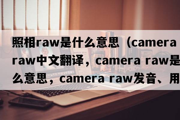 照相raw是什么意思（camera raw中文翻譯，camera raw是什么意思，camera raw發(fā)音、用法及例句）