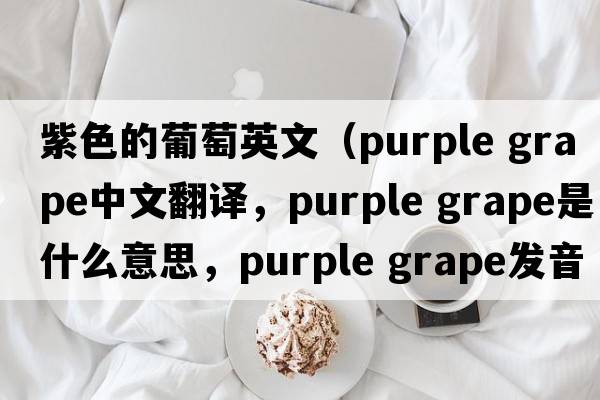 紫色的葡萄英文（purple grape中文翻譯，purple grape是什么意思，purple grape發(fā)音、用法及例句）