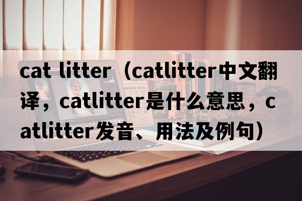 cat litter（catlitter中文翻譯，catlitter是什么意思，catlitter發(fā)音、用法及例句）
