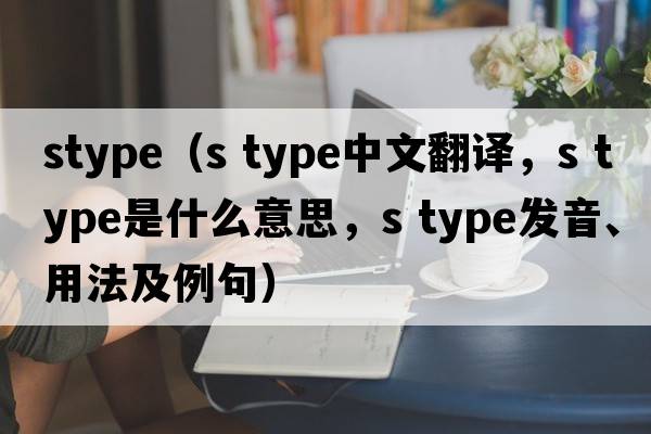 stype（s type中文翻譯，s type是什么意思，s type發(fā)音、用法及例句）