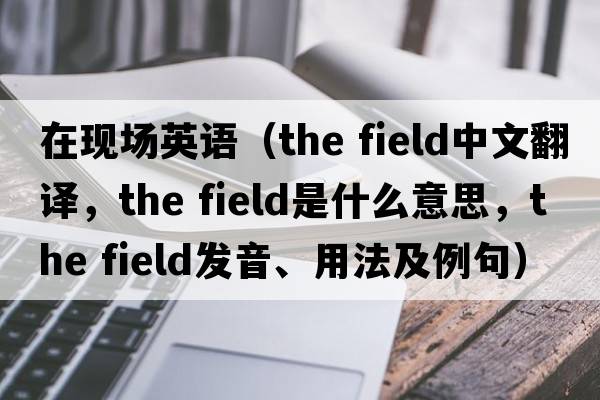在現(xiàn)場英語（the field中文翻譯，the field是什么意思，the field發(fā)音、用法及例句）