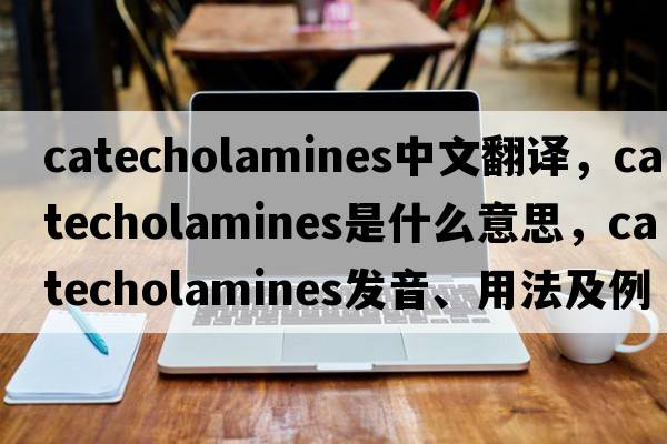 catecholamines中文翻譯，catecholamines是什么意思，catecholamines發(fā)音、用法及例句