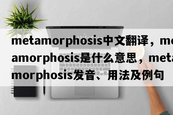 metamorphosis中文翻譯，metamorphosis是什么意思，metamorphosis發(fā)音、用法及例句