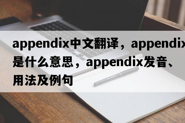 appendix中文翻譯，appendix是什么意思，appendix發(fā)音、用法及例句