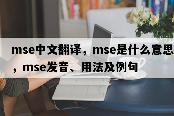 mse中文翻譯，mse是什么意思，mse發(fā)音、用法及例句