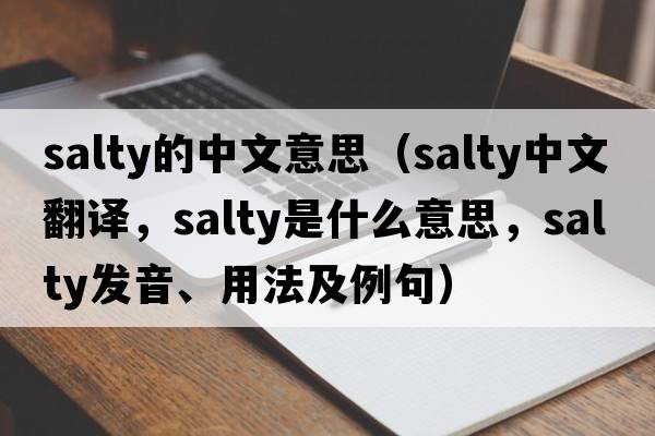salty的中文意思（salty中文翻譯，salty是什么意思，salty發(fā)音、用法及例句）