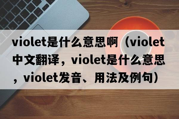 violet是什么意思啊（violet中文翻譯，violet是什么意思，violet發(fā)音、用法及例句）