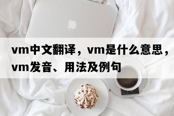 vm中文翻譯，vm是什么意思，vm發(fā)音、用法及例句