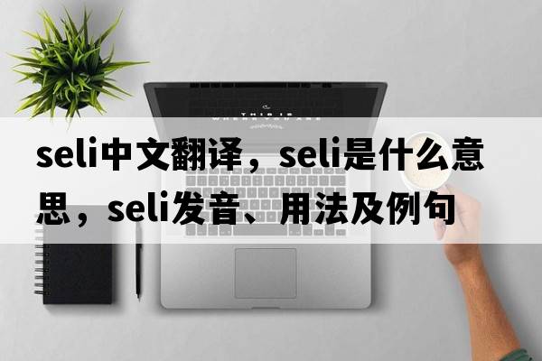 SELI中文翻譯，SELI是什么意思，SELI發(fā)音、用法及例句