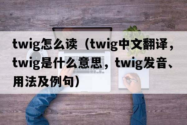 twig怎么讀（twig中文翻譯，twig是什么意思，twig發(fā)音、用法及例句）