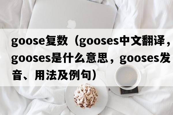 goose復(fù)數(shù)（gooses中文翻譯，gooses是什么意思，gooses發(fā)音、用法及例句）