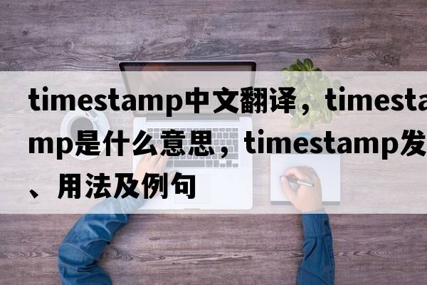 timestamp中文翻譯，timestamp是什么意思，timestamp發(fā)音、用法及例句