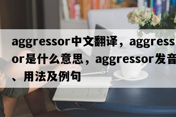 aggressor中文翻譯，aggressor是什么意思，aggressor發(fā)音、用法及例句
