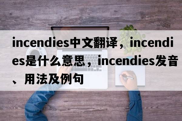 Incendies中文翻譯，Incendies是什么意思，Incendies發(fā)音、用法及例句