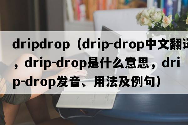 dripdrop（drip-drop中文翻譯，drip-drop是什么意思，drip-drop發(fā)音、用法及例句）