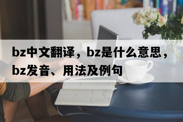 bz中文翻譯，bz是什么意思，bz發(fā)音、用法及例句