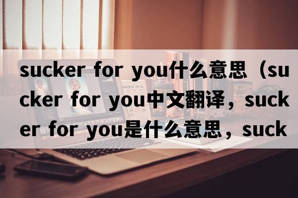 sucker for you什么意思（sucker for you中文翻譯，sucker for you是什么意思，sucker for you發(fā)音、用法及例句）