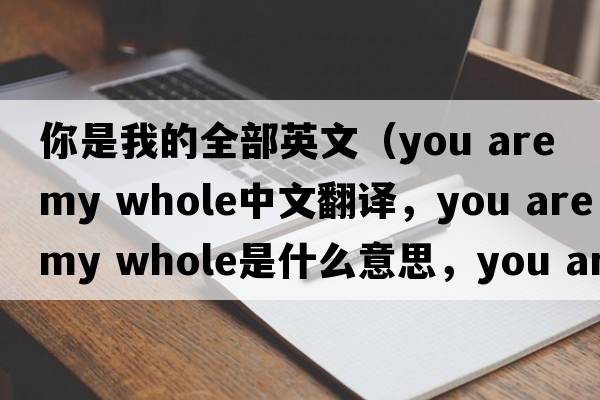 你是我的全部英文（you are my whole中文翻譯，you are my whole是什么意思，you are my whole發(fā)音、用法及例句）