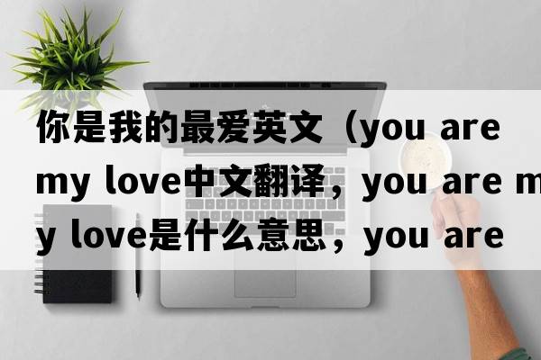你是我的最愛英文（you are my love中文翻譯，you are my love是什么意思，you are my love發(fā)音、用法及例句）