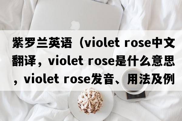 紫羅蘭英語（violet rose中文翻譯，violet rose是什么意思，violet rose發(fā)音、用法及例句）