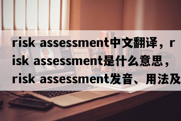 risk assessment中文翻譯，risk assessment是什么意思，risk assessment發(fā)音、用法及例句