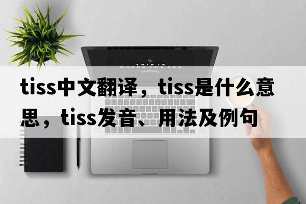 TISS中文翻譯，TISS是什么意思，TISS發(fā)音、用法及例句