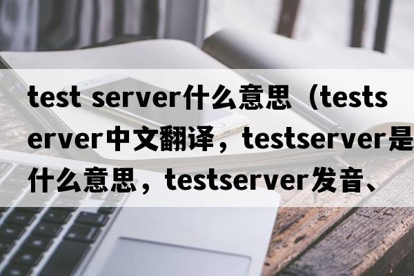 test server什么意思（testserver中文翻譯，testserver是什么意思，testserver發(fā)音、用法及例句）