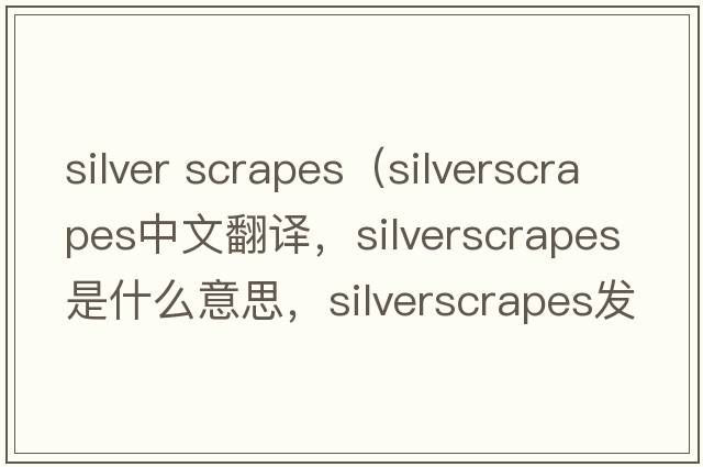 silver scrapes（silverscrapes中文翻譯，silverscrapes是什么意思，silverscrapes發(fā)音、用法及例句）
