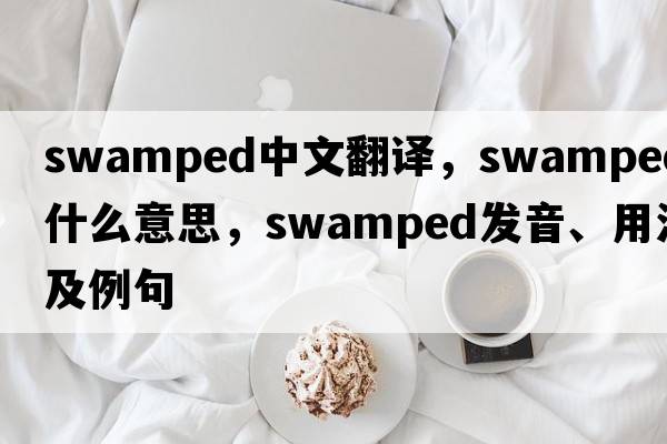 swamped中文翻譯，swamped是什么意思，swamped發(fā)音、用法及例句