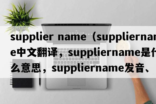 supplier name（suppliername中文翻譯，suppliername是什么意思，suppliername發(fā)音、用法及例句）