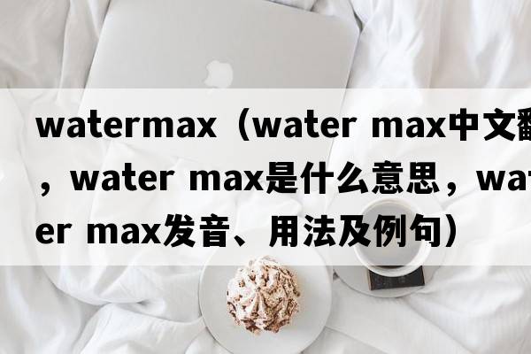 watermax（water max中文翻譯，water max是什么意思，water max發(fā)音、用法及例句）