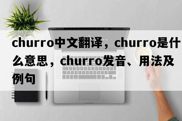churro中文翻譯，churro是什么意思，churro發(fā)音、用法及例句