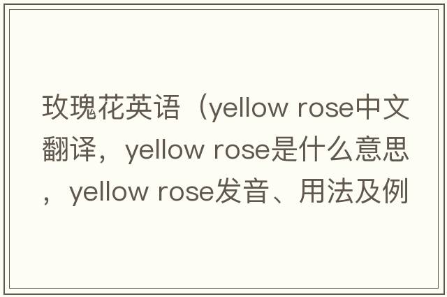 玫瑰花英語（yellow rose中文翻譯，yellow rose是什么意思，yellow rose發(fā)音、用法及例句）