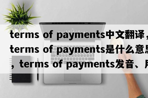 terms of payments中文翻譯，terms of payments是什么意思，terms of payments發(fā)音、用法及例句