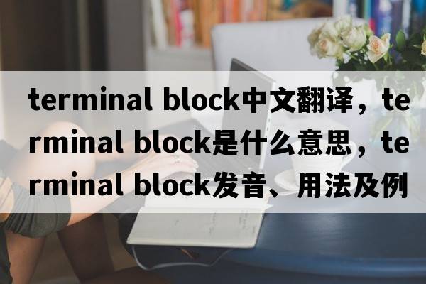 terminal block中文翻譯，terminal block是什么意思，terminal block發(fā)音、用法及例句