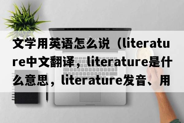 文學(xué)用英語(yǔ)怎么說(shuō)（literature中文翻譯，literature是什么意思，literature發(fā)音、用法及例句）