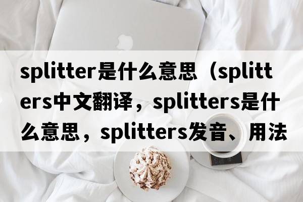 splitter是什么意思（splitters中文翻譯，splitters是什么意思，splitters發(fā)音、用法及例句）