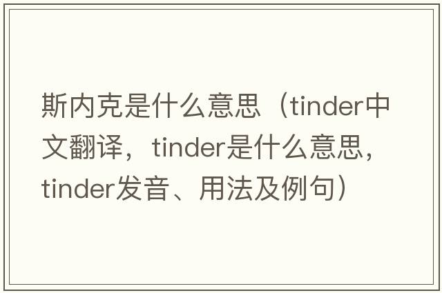 斯內(nèi)克是什么意思（tinder中文翻譯，tinder是什么意思，tinder發(fā)音、用法及例句）
