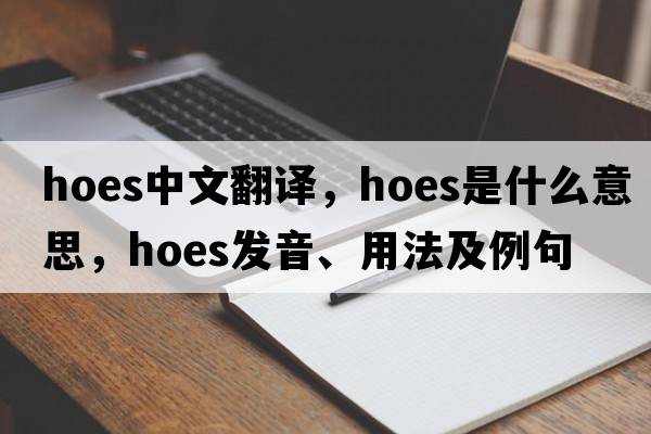 hoes中文翻譯，hoes是什么意思，hoes發(fā)音、用法及例句