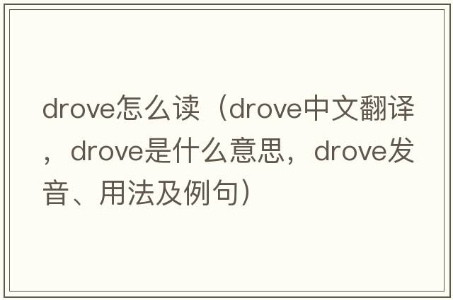 drove怎么讀（drove中文翻譯，drove是什么意思，drove發(fā)音、用法及例句）